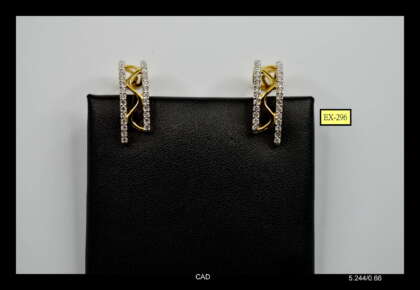 Ex-296 Earring