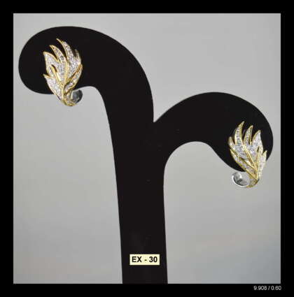 Ex- 30 Earring